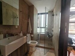 Holland Link (D10), Terrace #526576771